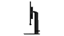 original (1).png