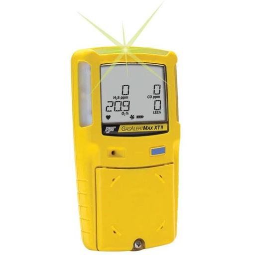 BW Technologies Gas Alert Max XT II : Multi Gas Detector
