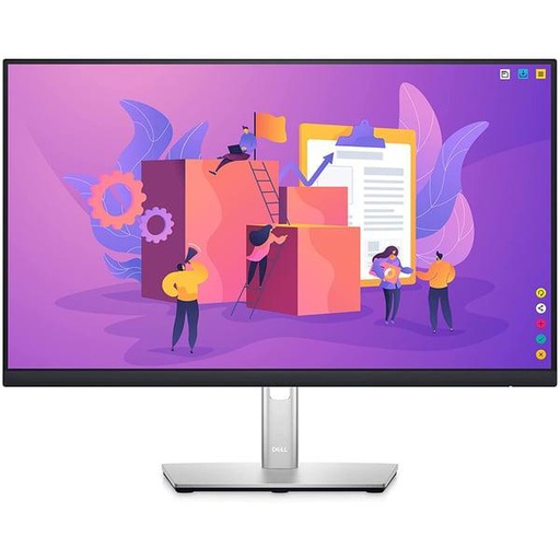 Dell 24 Monitor - P2422H - 3 Year Warranty